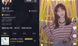 明星爆料兔子视频大全,兔子视频大全，萌宠瞬间集结