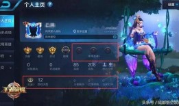 王者爆料小破绽视频大全,揭秘游戏中的隐藏技巧与漏洞