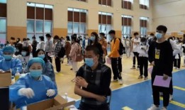 枫丹预告爆料最新消息,揭秘预告爆料中的神秘元素与未来展望